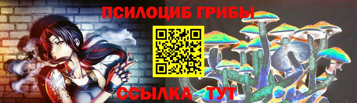 купить наркотики сайты  Псилоцибиновые грибы Cubensis  Вход с VPN  Пенза 
